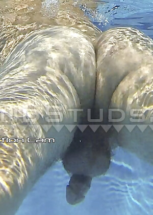 Surfer Dover is Back! Eats Cum, Swims, Dives, River of Piss, Opens Hairy Hole x4, Edges & Erupts in Hawaii!